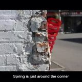 Spring is just round the corner